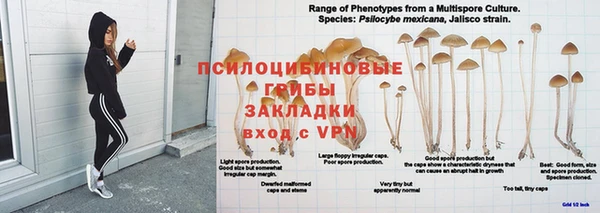 кокс Армянск