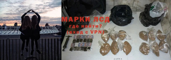 стафф Аркадак
