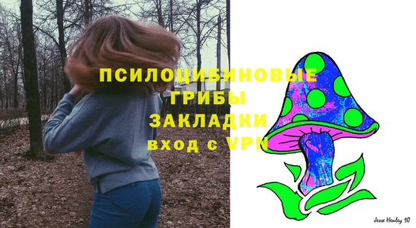 стафф Аркадак
