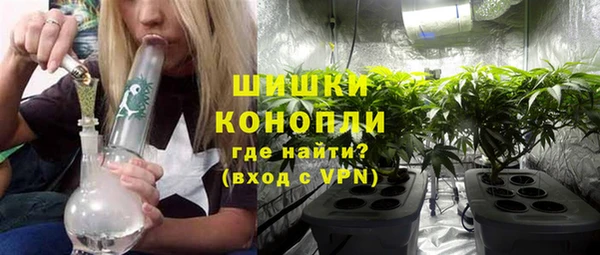 стафф Аркадак