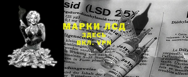 стафф Аркадак