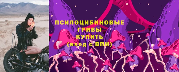 тгк Арсеньев