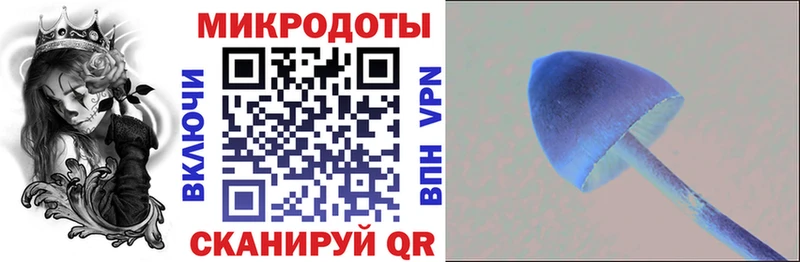 как найти закладки  Мариинск  Галлюциногенные грибы Magic Shrooms 